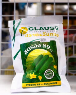 แตงร้าน