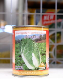 ผักกาดขาว