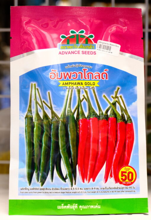 พริกลูกผสม อัมพวาโกลด์ 50 กรัม