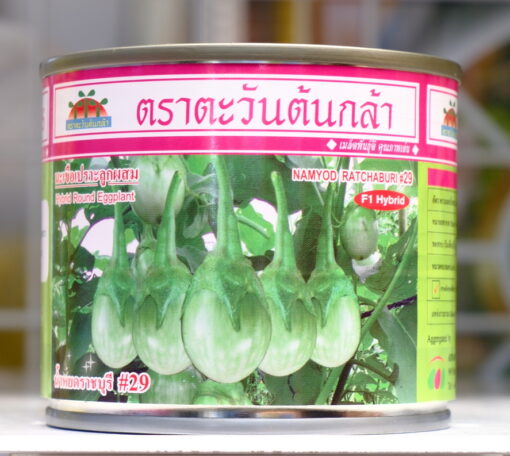 มะเขือเปราะลูกผสม น้ำหยดราชบุรี#29 20กรัม