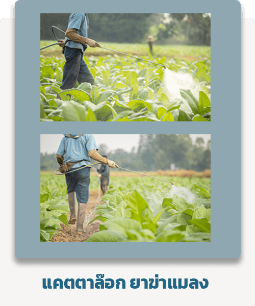 ยาฆ่าแมลง