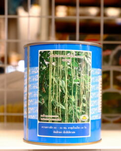 ถั่วฝักยาว