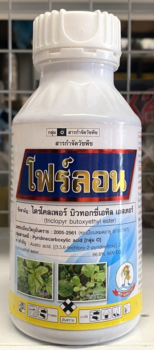 โฟร์ลอน