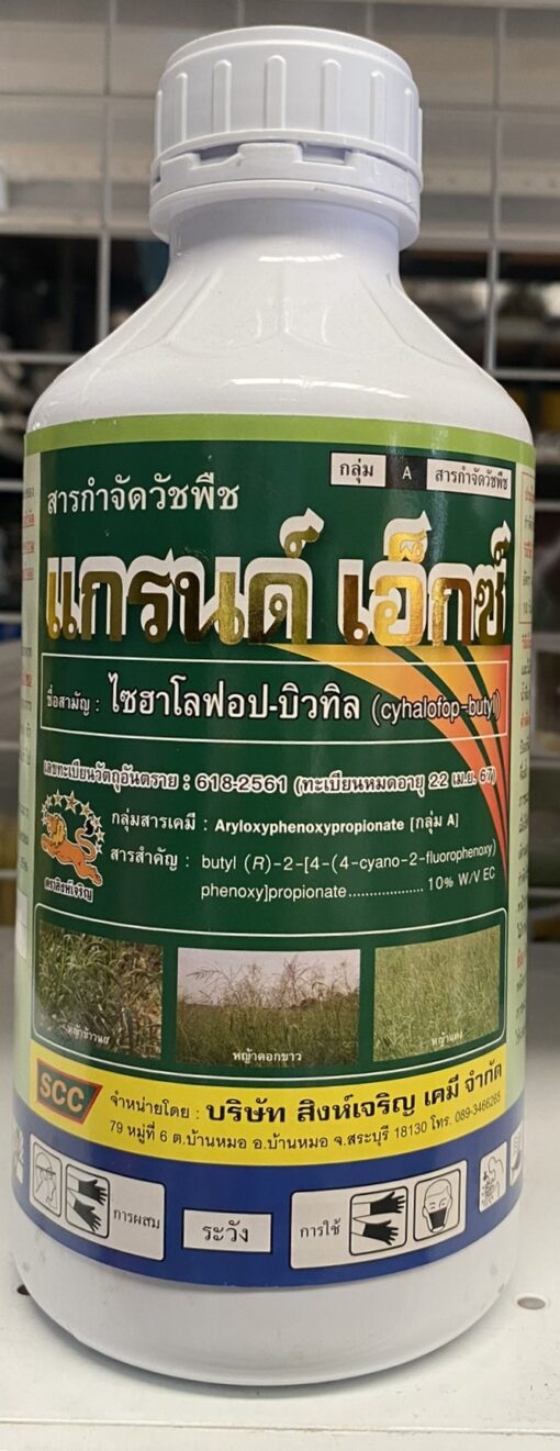 แกรนด์เอ็กซ์