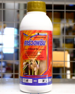 คาร์วอพซิม