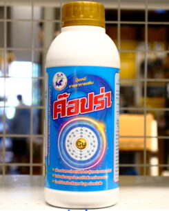 ค๊อปร่า