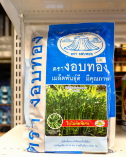 ผักบุ้งใบไผ่