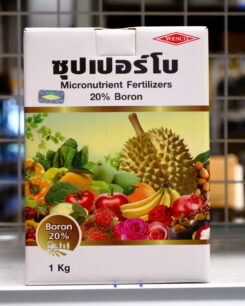 ซุปเปอร์โบ