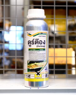 ดูร์ต๊อง