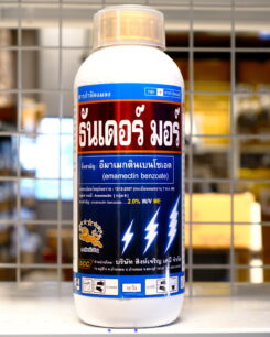 ธันเดอร์มอร์