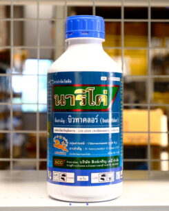 นาริโค่