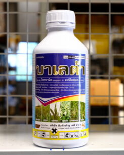 บาเลต้า