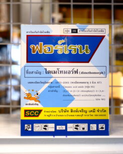 ฟอร์เรน