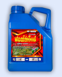 ฟอลโล่เอ็กซ์