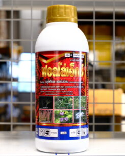 ฟอลโล่เอ็กซ์