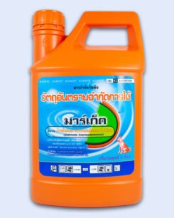 มาร์เก็ต