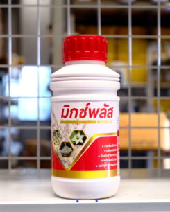 มิกซ์-พลัส