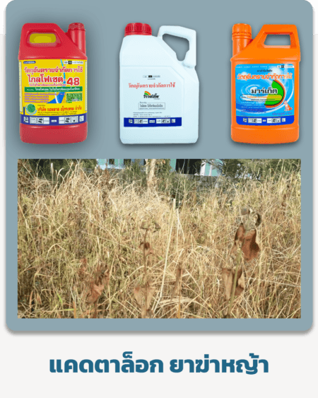 ยาฆ่าหญ้า