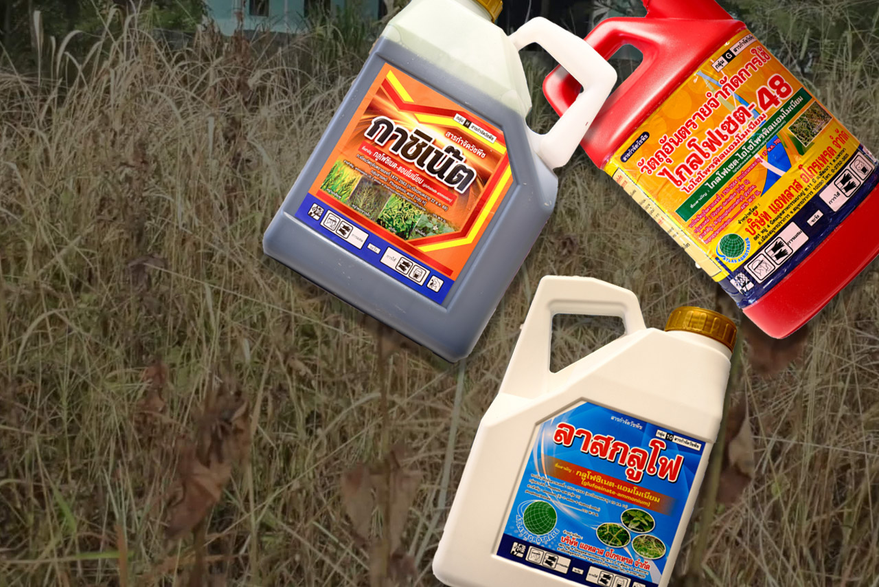ยาฆ่าหญ้า