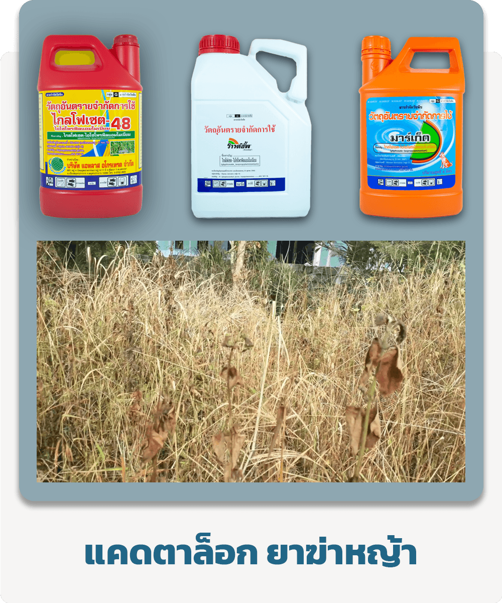 ยาฆ่าหญ้า