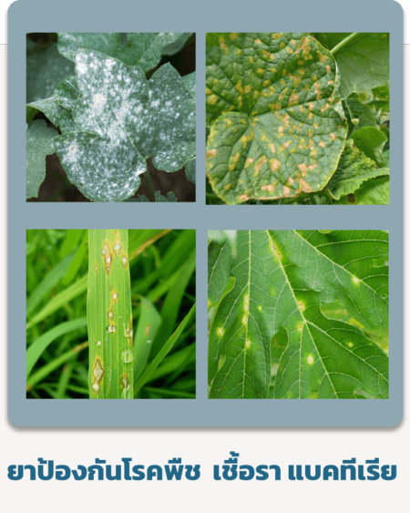 ยาป้องกันโรคพืช