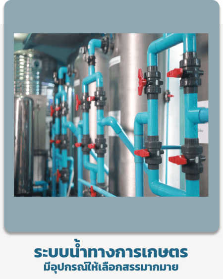 ระบบน้ำเพื่อการเกษตร
