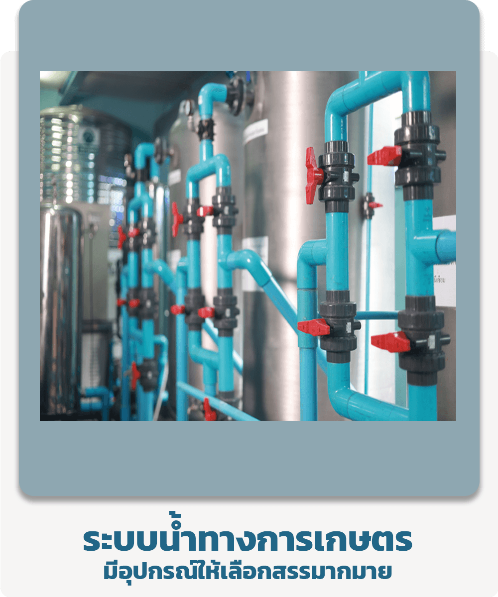 ระบบน้ำเพื่อการเกษตร