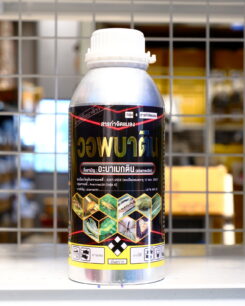 วอพบาติน