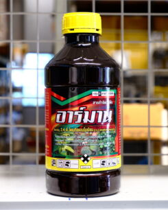 อาร์มาน