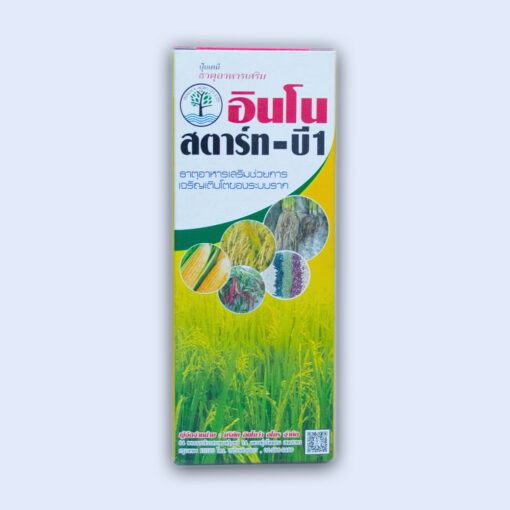 อินโนสตาร์ท บี1 100ซีซี