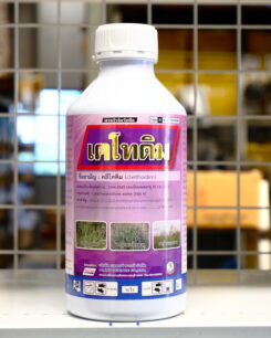 เคโทดิม