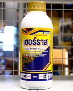 เซอร์ราส