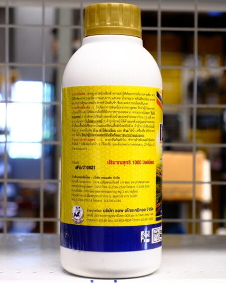 เซอร์ราส2