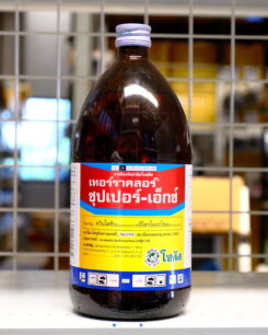 เทอร์ราคลอร์