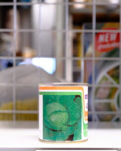 กะหล่ำปลี