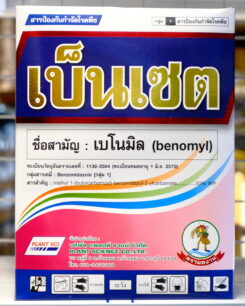 เบ็นเซต