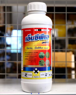 เอ็มซีพีเอ