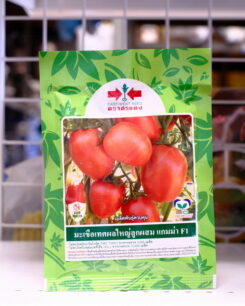 มะเขือเทศ