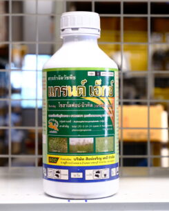 แกรนด์เอ็กซ์