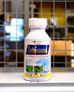 โฟร์ลอน