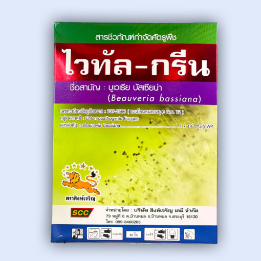 ไวทัล-กรีน [บูเวเรีย บัสเซียน่า] 1กิโลกรัม.