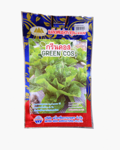 ผักสลัด