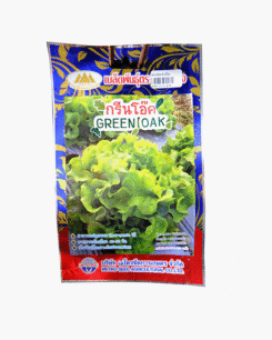 ผักสลัด