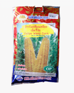 ข้าวโพด