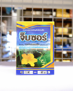 จิ๊บซอร์