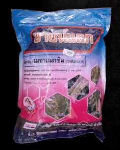 ซายน์แลก