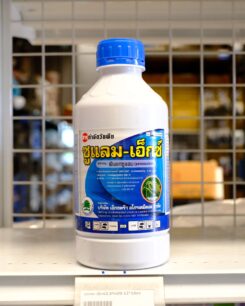 ซูแลม-เอ็กซ์