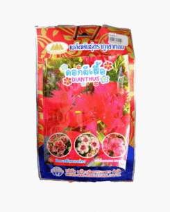 ดอกผีเสื้อ