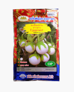 มะเขือเปราะ