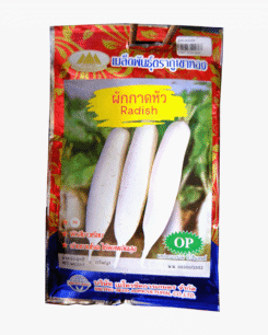 ผักกาดหัว